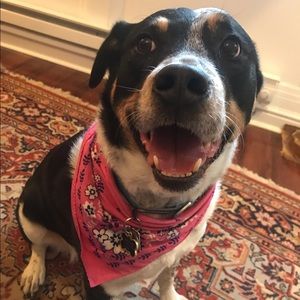 Meet your Posher, Alex